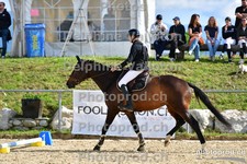 ref. photo 3165549