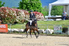 ref. photo 3165559