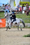ref. photo 3165581