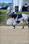 ref. photo 3165582