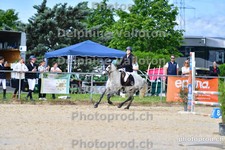 ref. photo 3165623