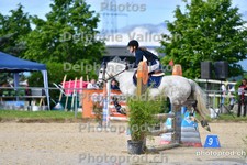 ref. photo 3165744