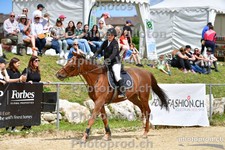 ref. photo 3165834