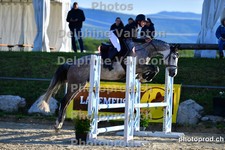 ref. photo 3165914