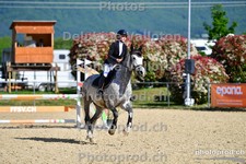 ref. photo 3165930