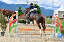 ref. photo 3166006