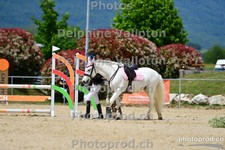 ref. photo 3166058