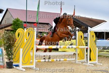 ref. photo 3166062