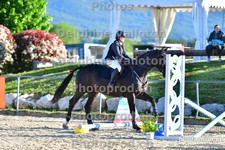 ref. photo 3166084