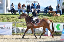 ref. photo 3166093
