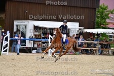 ref. photo 3166158