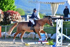 ref. photo 3166240