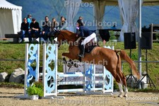 ref. photo 3166251