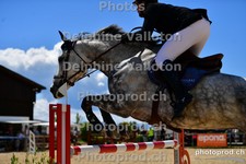 ref. photo 3166302