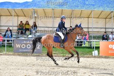 ref. photo 3166431