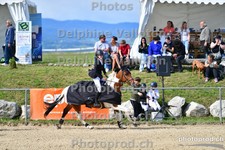 ref. photo 3166529