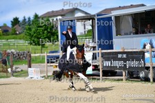 ref. photo 3166533