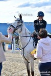 ref. photo 3166554