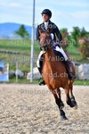 ref. photo 3166588