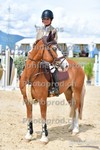 ref. photo 3166712