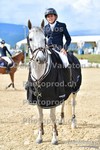 ref. photo 3166797