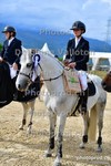 ref. photo 3166803