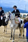 ref. photo 3166804