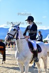 ref. photo 3166928