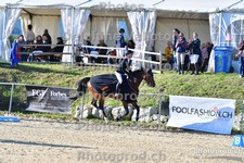 ref. photo 3166946