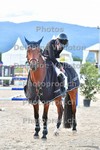 ref. photo 3166972