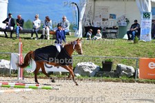 ref. photo 3167088