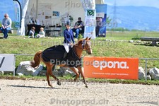 ref. photo 3167089