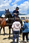ref. photo 3167135