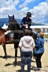 ref. photo 3167136