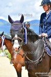 ref. photo 3167145