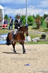 ref. photo 3167156