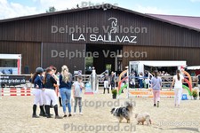 ref. photo 3167199