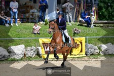 ref. photo 3598711