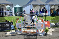 ref. photo 3598808