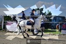 ref. photo 3598884