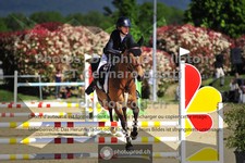 ref. photo 3598952