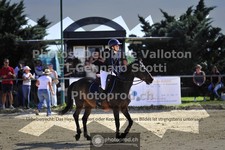 ref. photo 3599002