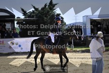 ref. photo 3599003