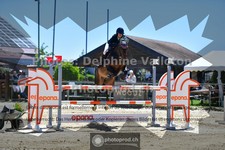 ref. photo 3599027