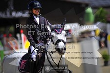ref. photo 3599055