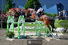 ref. photo 3599115