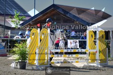 ref. photo 3599144