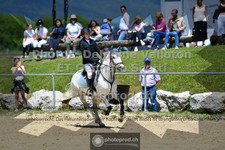ref. photo 3599154