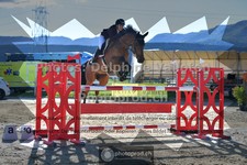 ref. photo 3599173