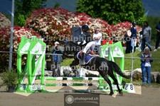ref. photo 3599195